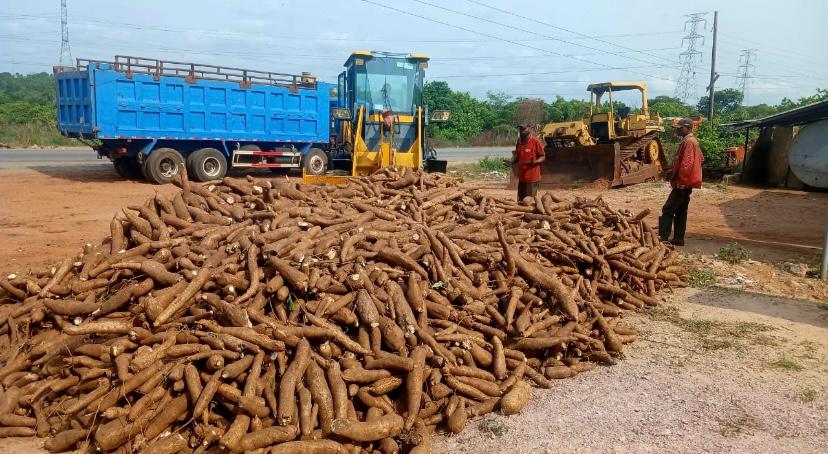 Home Agriculture